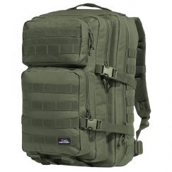 Рюкзак Assault Large Tac Maven Pentagon, цвет Olive Green