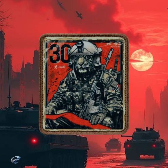 Нашивка, патч "Тигр , серия 30" тактическая с липучкой.