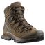 Ботинки Quest 4D GTX Forces 2 EN Salomon, цвет Earth Brown